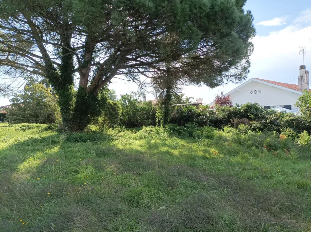 Image du terrain Terrain à bâtir de 310 m² à GASTES (40)