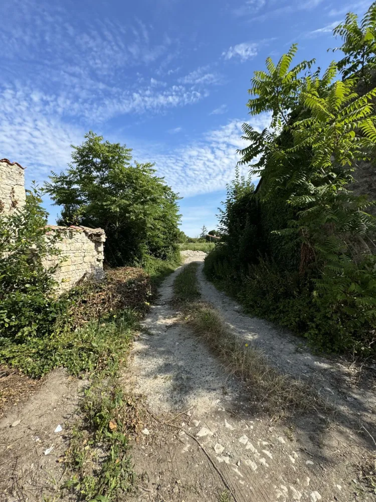 Image du modèle de maison IMG_1253