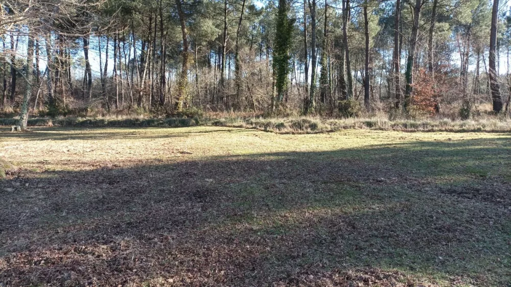 Image du terrain Terrain à bâtir de 2400 m² à SALLES (33)