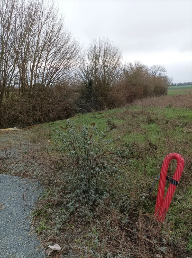 Image du modèle de maison 1000004231