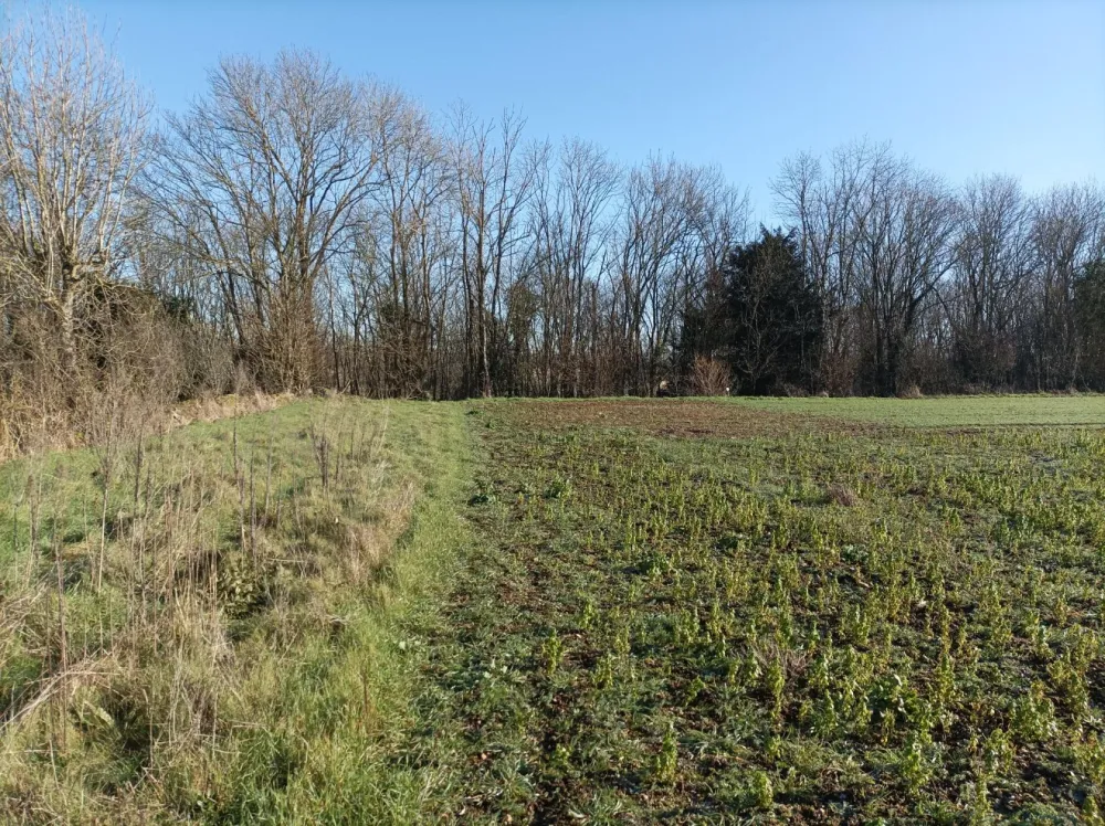 Image du modèle de maison 1000004328