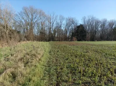 Image du modèle de maison 1000004328