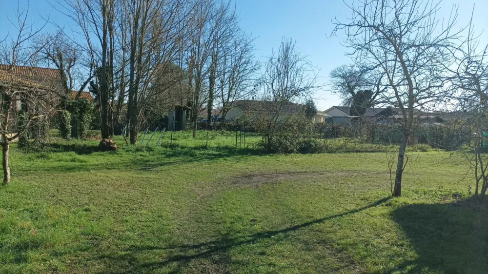 Image du modèle de maison 1000011484