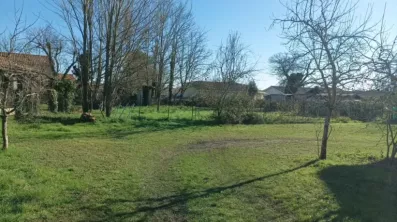 Image du modèle de maison 1000011484