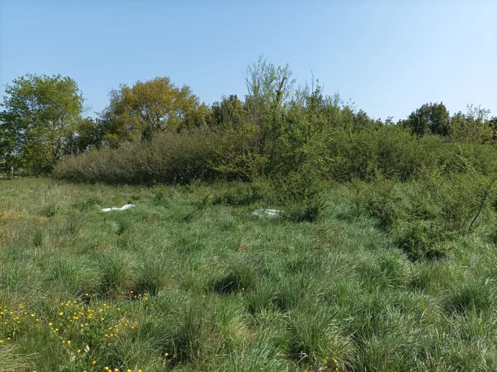 Image du modèle de maison IMG_20230418_112128