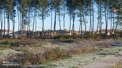 Image du modèle de maison 1000017811