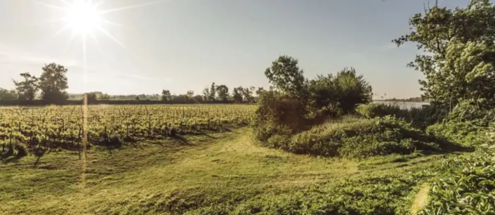 Image du terrain Terrain à bâtir de 561 m² à SAINT-LAURENT-MEDOC (33)