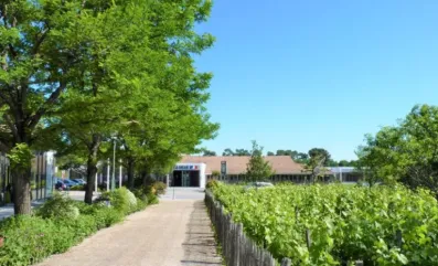 Image du modèle de maison Terrain Saint aubin de medoc pour construction lara