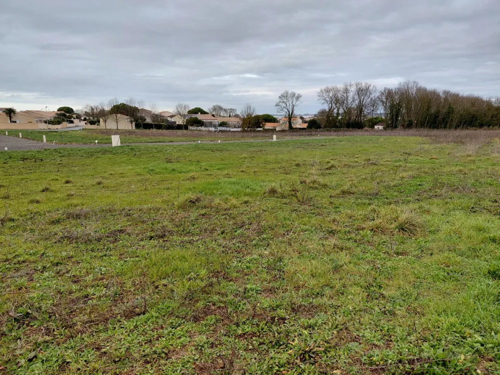 Image du modèle de maison Lot 11 - Photo 2