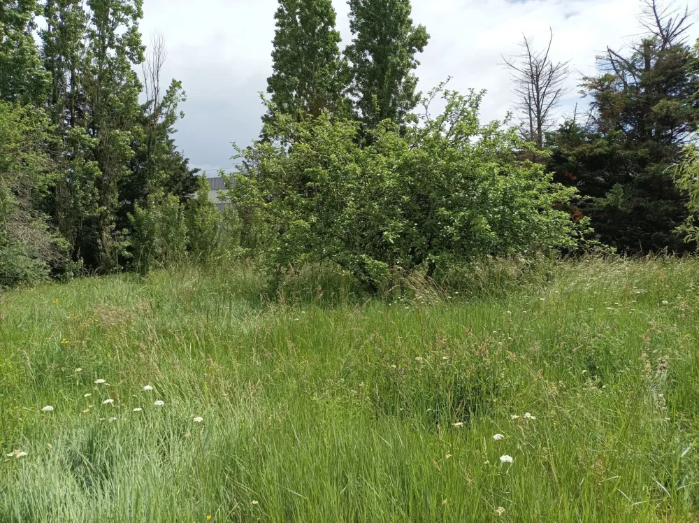 Image du modèle de maison IMG_20230511_142901