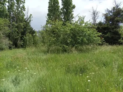 Image du modèle de maison IMG_20230511_142901