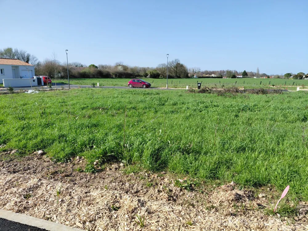 Image du modèle de maison 595 L41 - 4