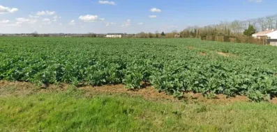 Image du modèle de maison echiré viabilis