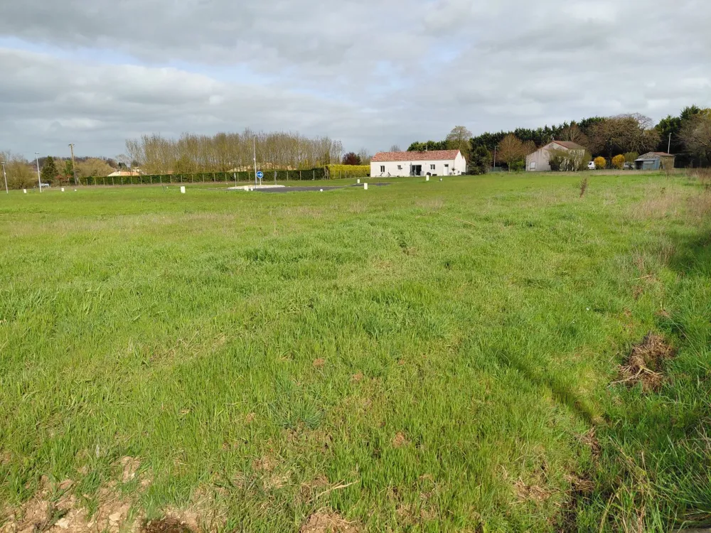 Image du modèle de maison L7 826 VER - 3