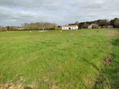 Image du modèle de maison L7 826 VER - 3