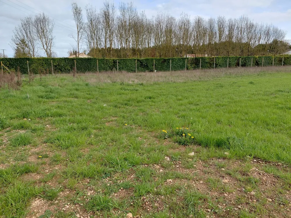 Image du terrain Terrain à bâtir de 900 m² à VERVANT (17)