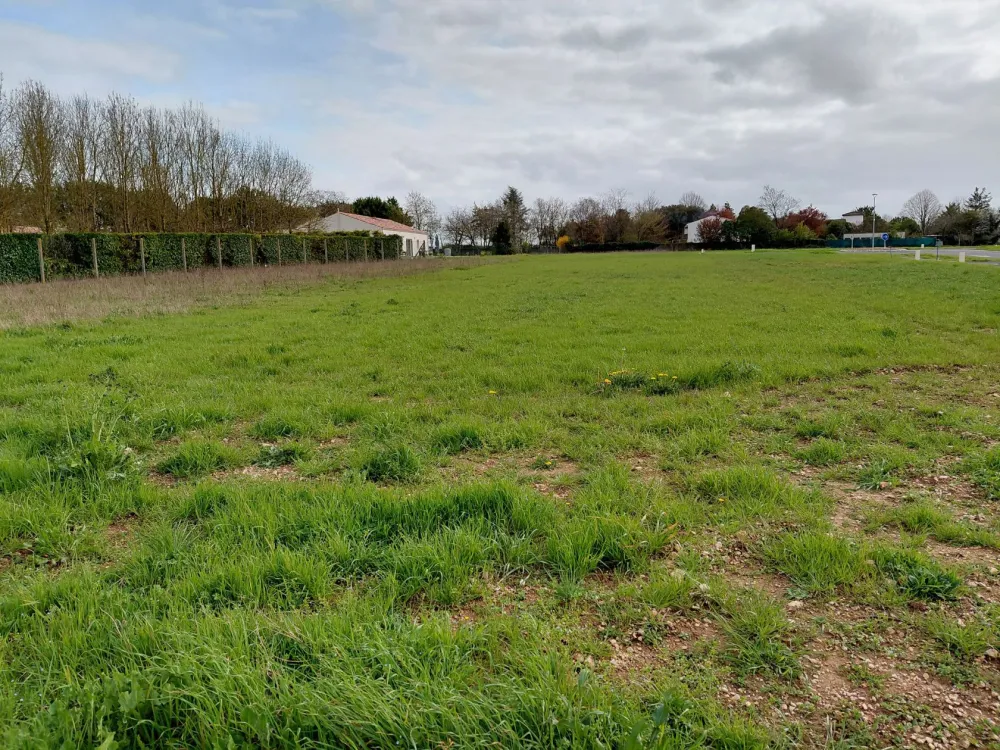 Image du modèle de maison L13 900 VER - 7