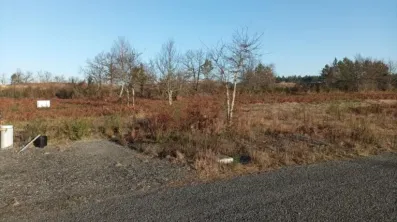 Image du modèle de maison IMG_20250203_094751