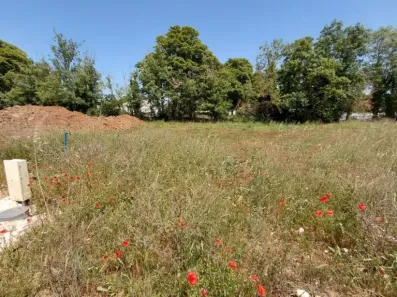 Image du modèle de maison HIP 409 L11 - 5