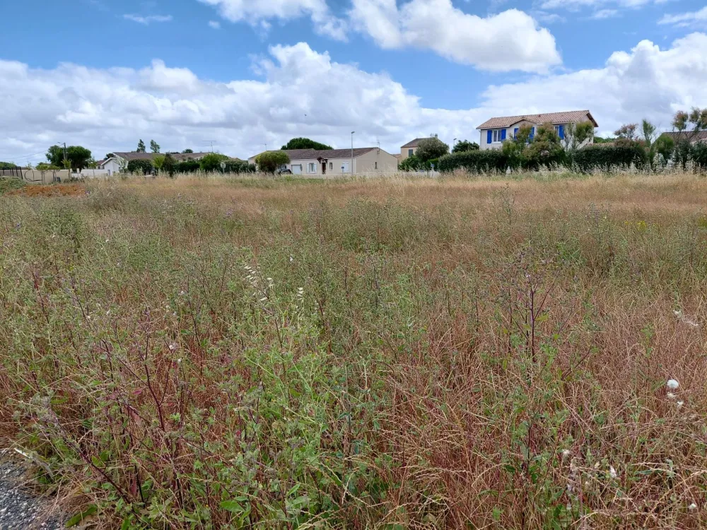 Image du terrain Terrain à bâtir de 375 m² à SAINT-NAZAIRE-SUR-CHARENTE (17)