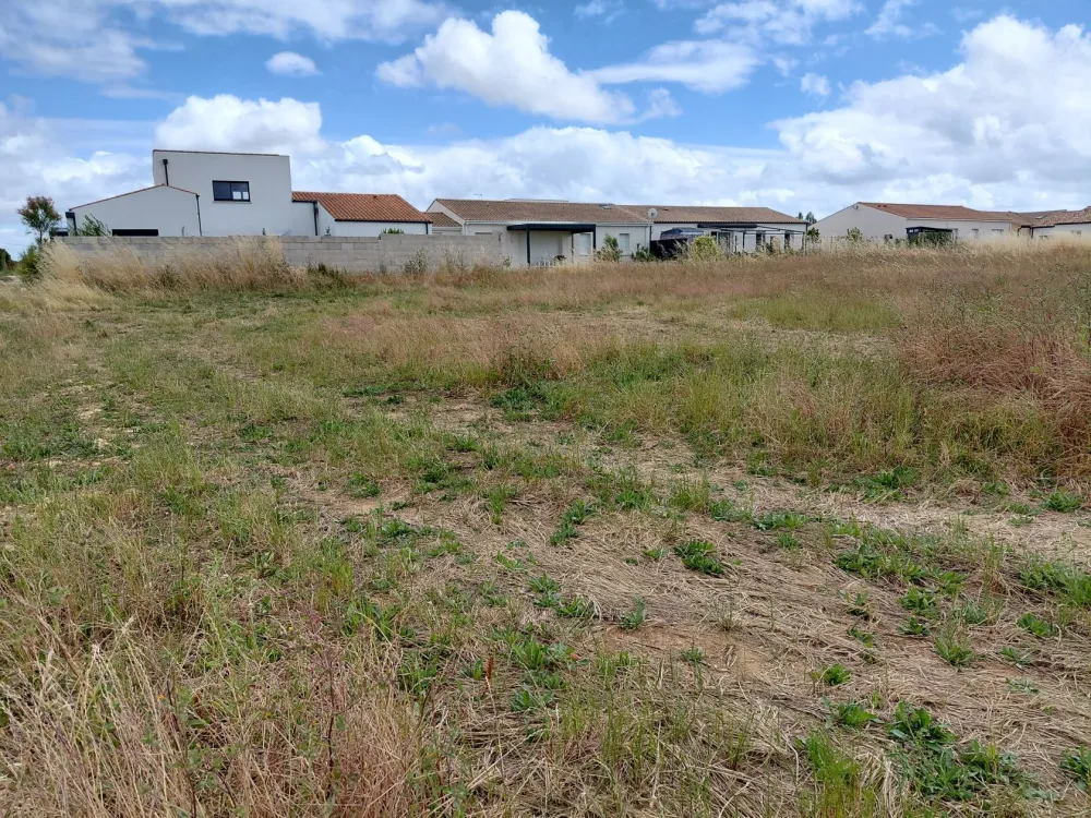 Image du modèle de maison PDB 435 L11 - 2