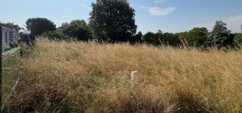 Image du modèle de maison Capture d'écran 2026-07-29 120746
