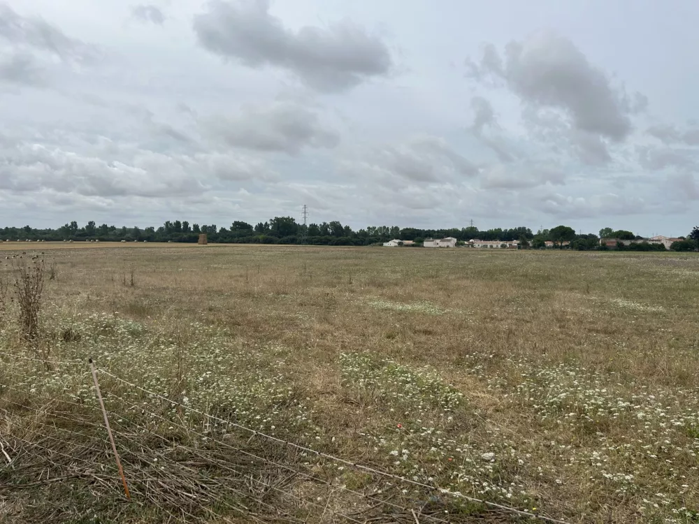 Image du terrain Terrain à bâtir de 272 m² à CHARRON (17)