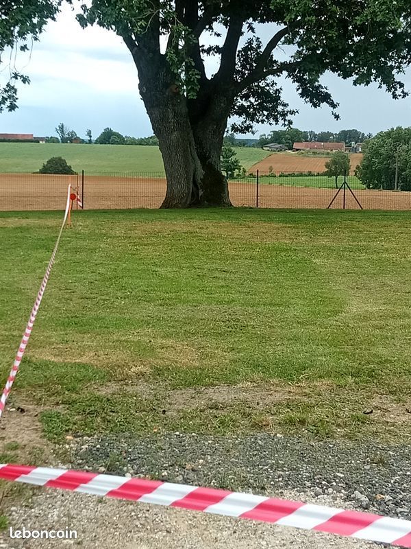 Image du modèle de maison 1000006288