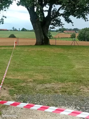 Image du modèle de maison 1000006288