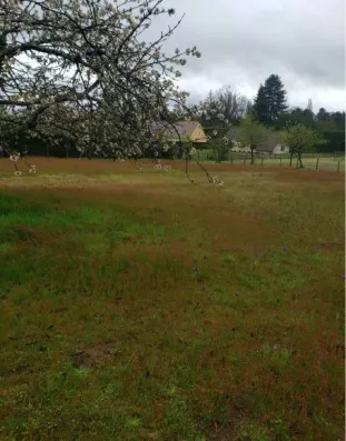 Image du modèle de maison Capture d’écran 2025-07-07 154430