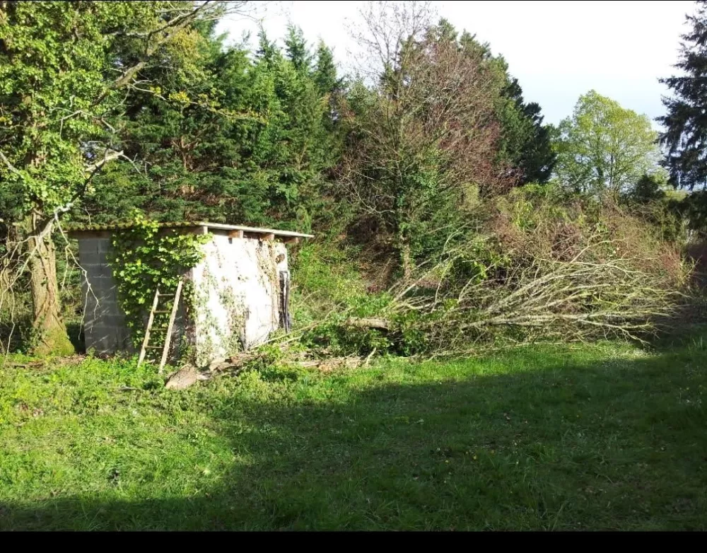 Image du modèle de maison 4306579227012132475