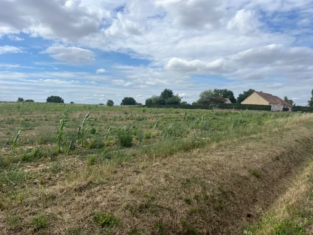 Image du terrain Terrain à bâtir de 1000 m² à NOYEN-SUR-SARTHE (72)