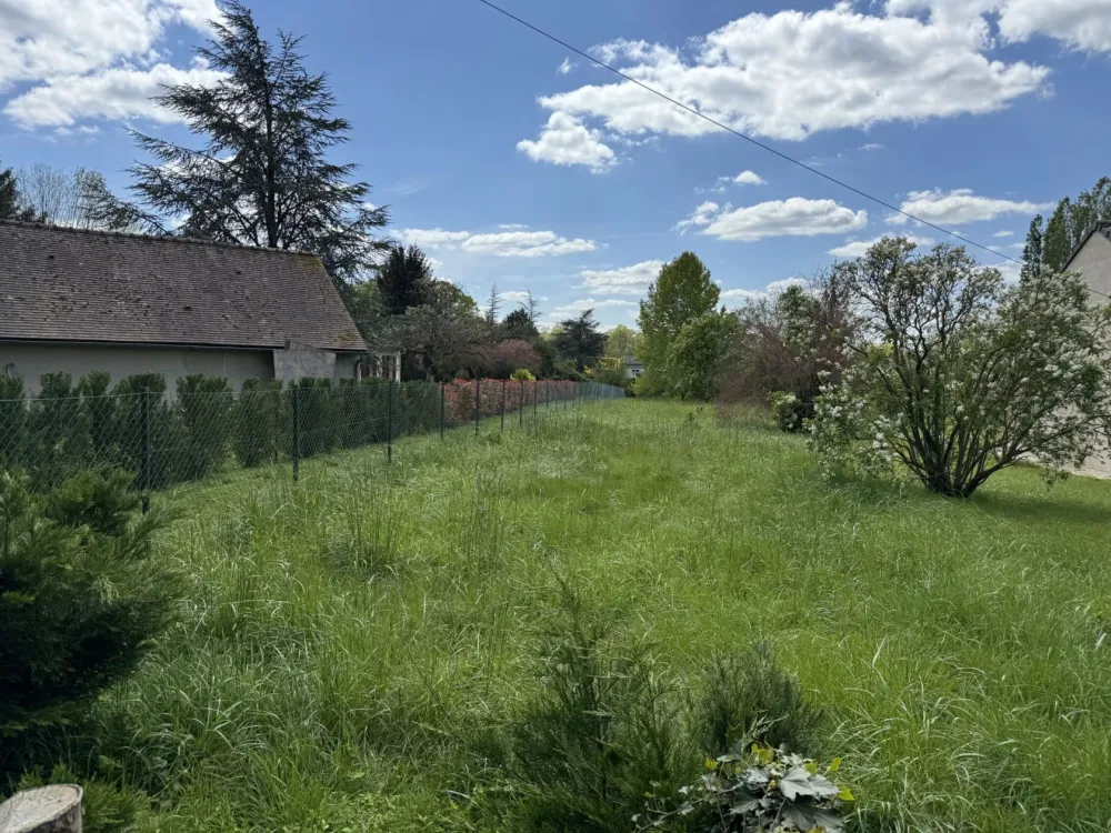 Image du modèle de maison IMG_1955-scaled