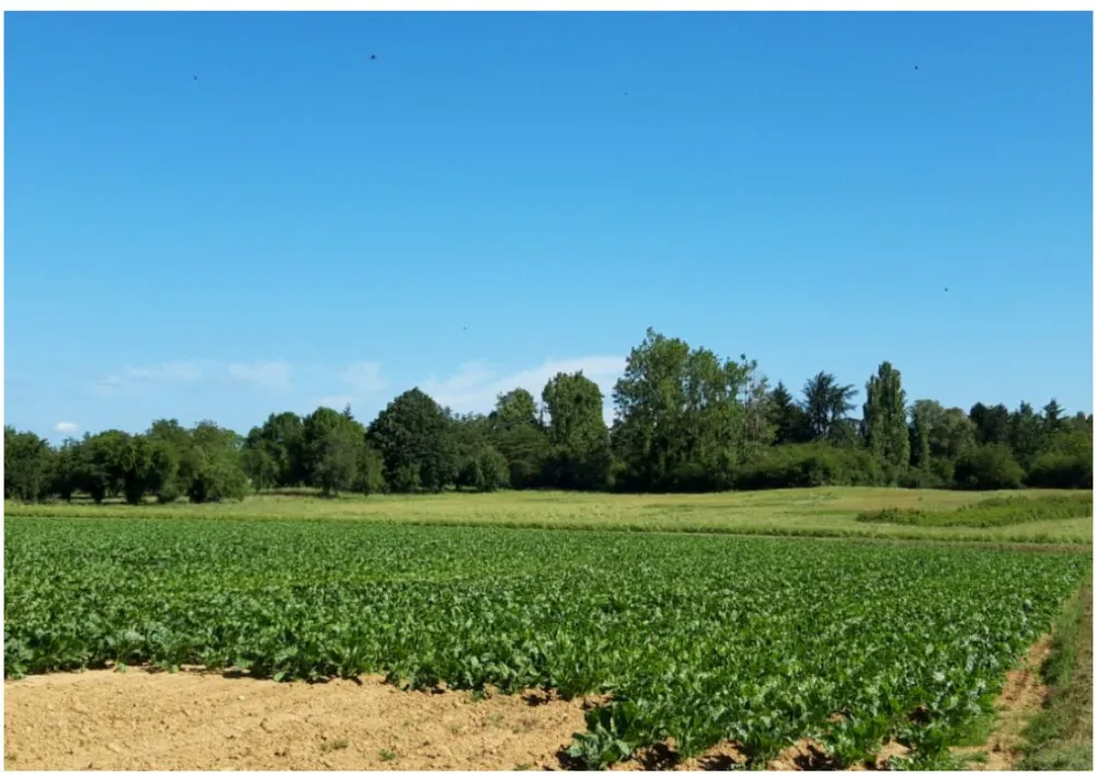 Image du modèle de maison boullay les troux