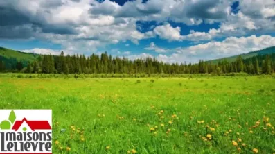 Image du modèle de maison Présentation