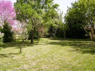 Image du modèle de maison 768ca54efa2f9cbab729022cc36847cd