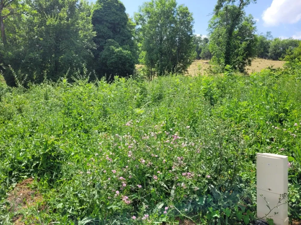 Image du modèle de maison 1750929794