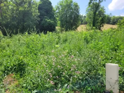 Image du modèle de maison 1750929794