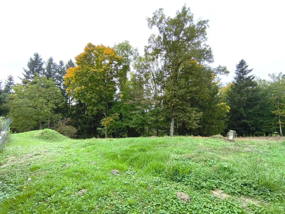 Image du modèle de maison 1000010476