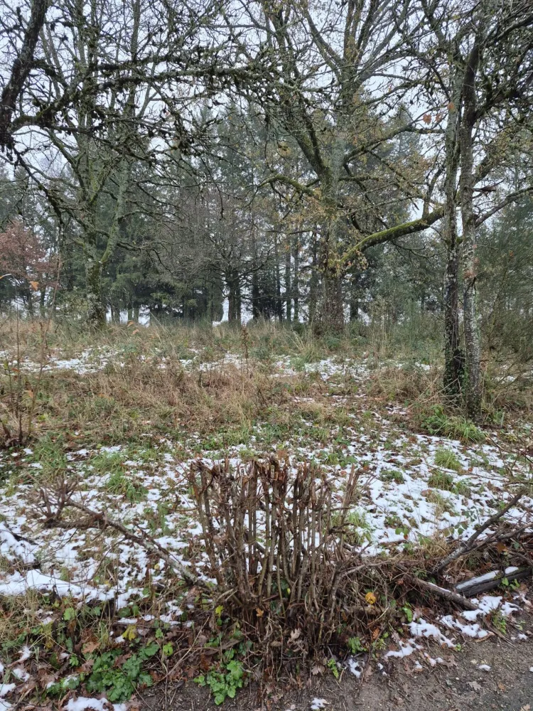 Image du modèle de maison les saraix bas