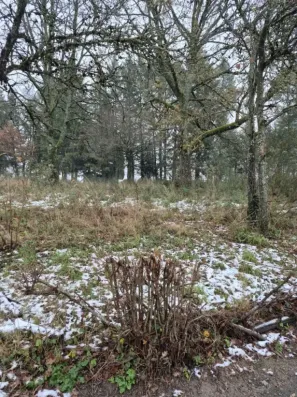 Image du modèle de maison les saraix bas
