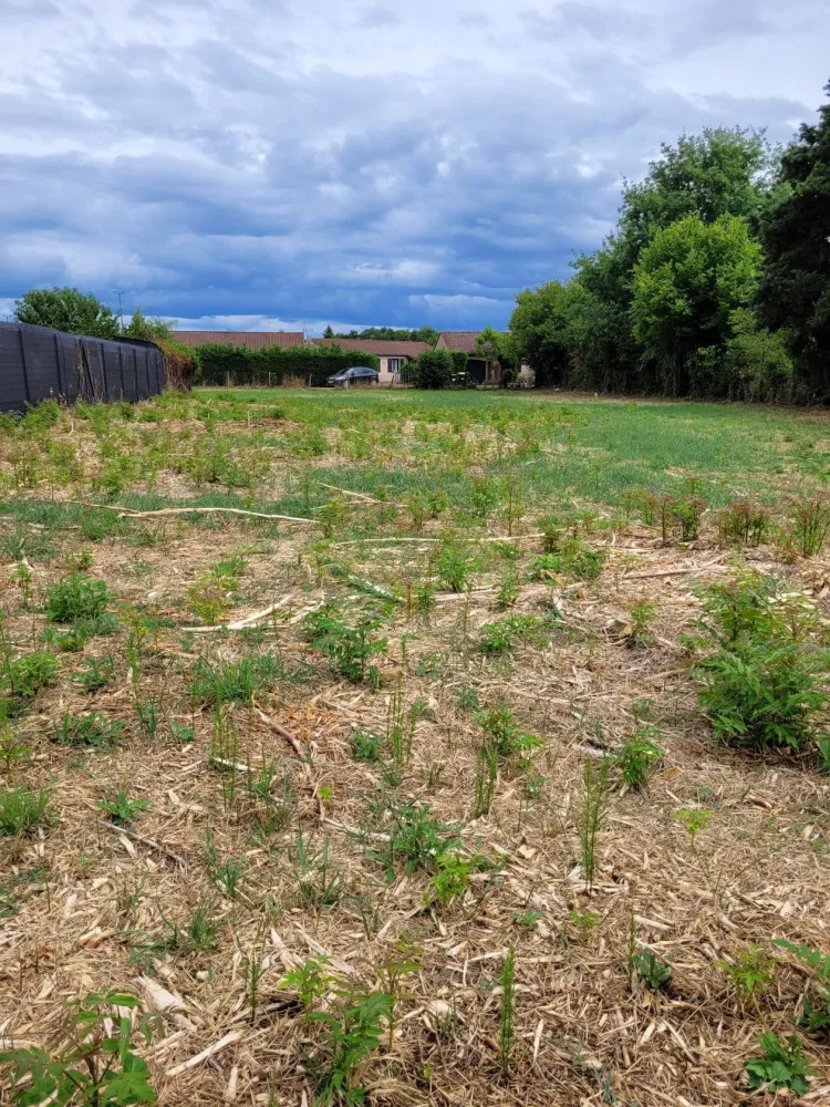 Image du terrain Terrain à bâtir de 850 m² à LEZOUX (63)