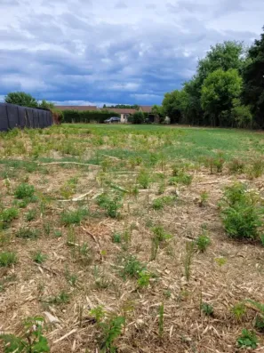 Image du modèle de maison 20250723_160956