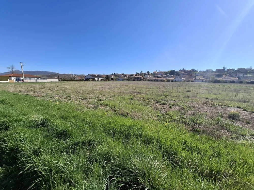 Image du modèle de maison 20250401_110817