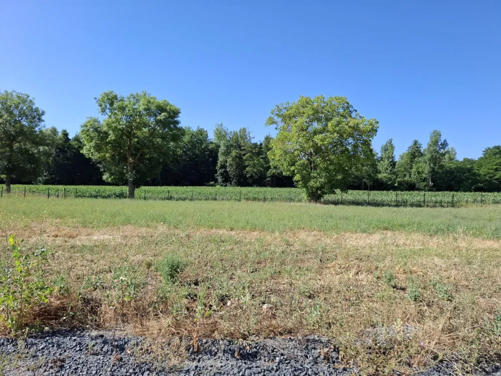 Image du modèle de maison 20250716_103153