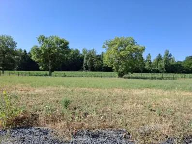 Image du modèle de maison 20250716_103153