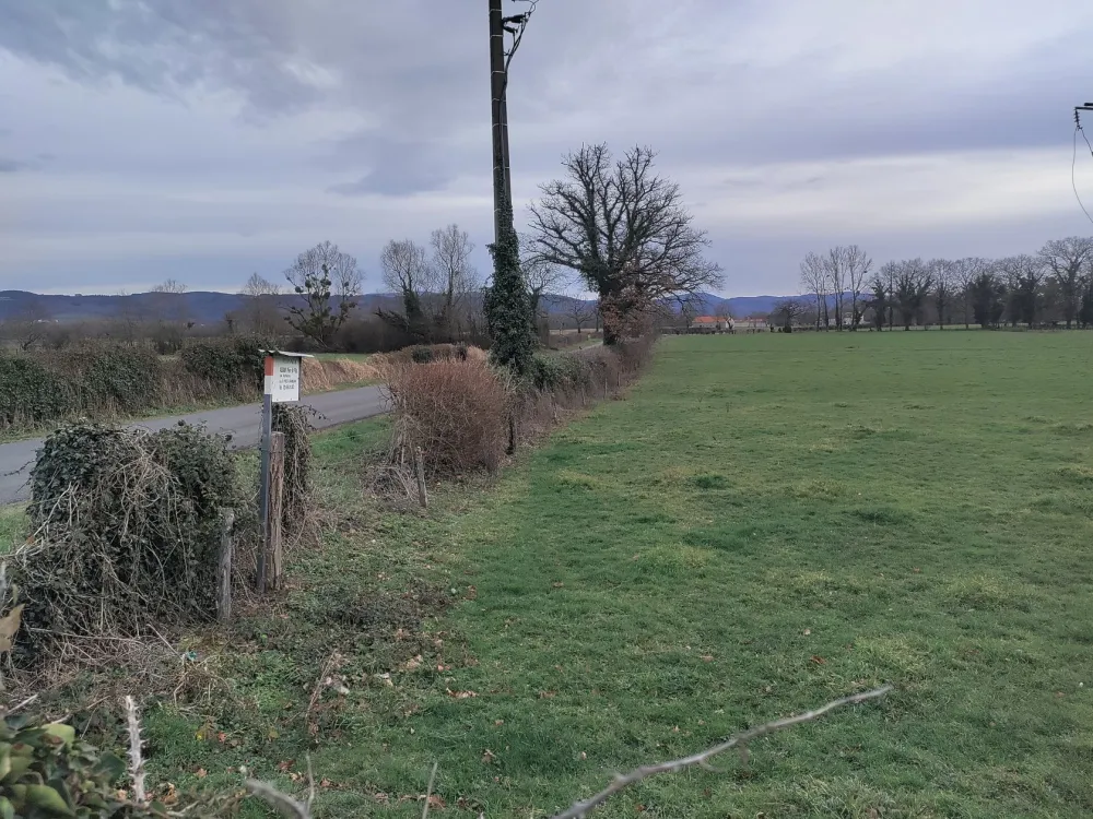 Image du modèle de maison 1000021427