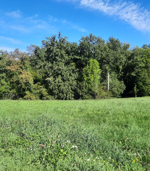 Image du modèle de maison Capture d'écran 2026-01-26 115259