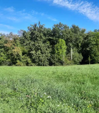 Image du modèle de maison Capture d'écran 2026-01-26 115259