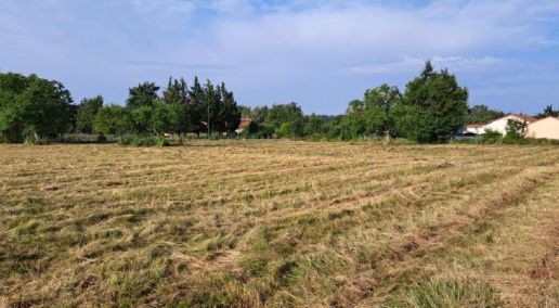 Image du modèle de maison Capture d'écran 2026-01-26 115524